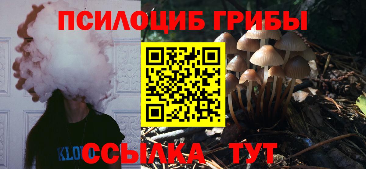 Галлюциногенные грибы Cubensis Реж