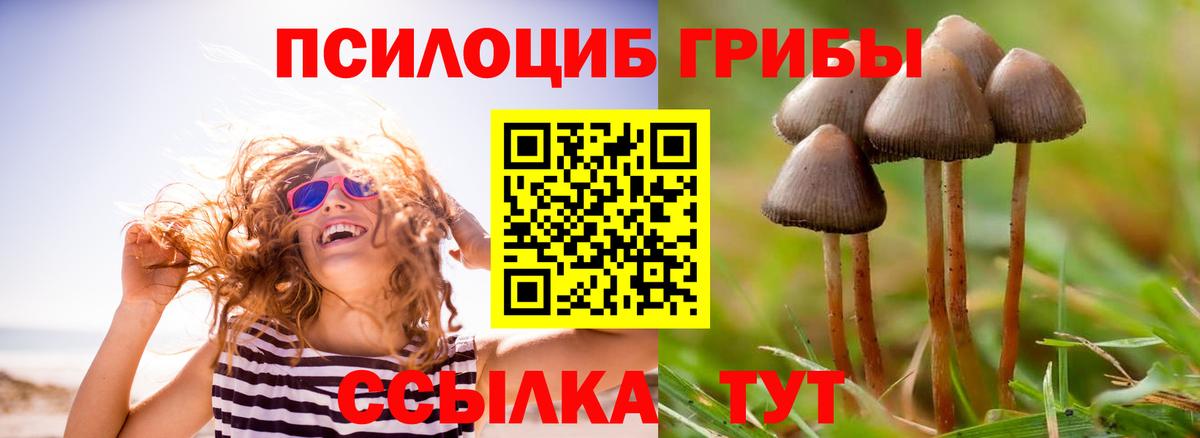 где можно купить наркотик  Вход с VPN  Реж  Галлюциногенные грибы ЛСД 